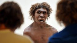 Наука до сих пор не определилась с предками homo sapiens