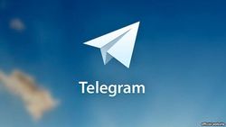 Telegram мессенджер популярен среди граждан Узбекистана 