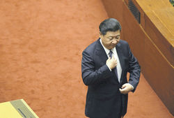 Си Цзиньпин не прибегнет к массовым репрессиям в КПК, как это делал Мао
