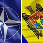 В Молдове тает поддержка гражданами вступления в НАТО
