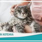 ОК.RU представили группу Purina ONE