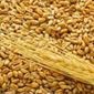Фьючерс пшеницы продолжает торги во флете - трейдеры