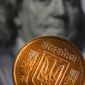 Доллар сильно подорожал к украинской гривне