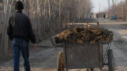 В Наманганской области Узбекистана появился навозный налог 