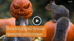 Дмитрий Масленников представил лучшие розыгрыши к Хэллоуину