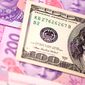 В Украине принят закон о валюте