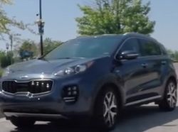 Авторынок Украины продолжает рост: названы лидеры