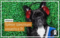 В «Одноклассниках» прошла прямая трансляция концерта в «Лужниках»