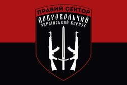 Эксперт: Ситуация с «Правым сектором» может продолжаться