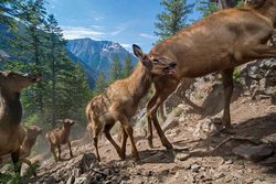 National Geographic показал лучшие фото туристов 2016