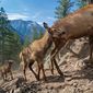 National Geographic показал лучшие фото туристов 2016