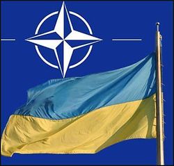 Минобороны попросит у НАТО снаряжение для проведения спецоперации