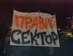 Правый сектор зовет владельцев огнестрельного оружия на Майдан