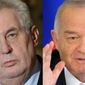 Земан может встретиться с президентом Узбекистана в Астане