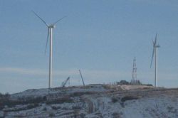 Ветер вместо газа: Под Самбором открыли мощную ветроэлектростанцию 