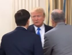 Подтверждена встреча Трампа и Путина 7 июля в Германии