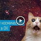 "Одноклассники" представили подборку космического видео