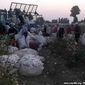 На хлопке погиб работник совместного Испанско-узбекского предприятия