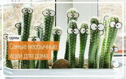 «Одноклассники» представили 10 необычных и бюджетных идей для дома