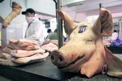 Ситуация с продовольствием в Украине лучше, чем в России – СМИ РФ