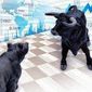 В Masterforex-V Expo назван лучший брокер бинарных опционов в сентябре 2016 года