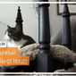 «Одноклассники» представили группу Houzz