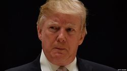 Год правления Дональда Трампа в графиках