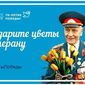 «Одноклассники» предложили подарить цветы ветеранам