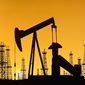 Лукашенко ищет альтернативу российской нефти