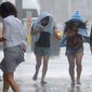 Тайфун «Ногури»: около полумиллиона жителей эвакуированы в Японии