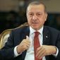 Эрдоган готов оплатить половину «Турецкого потока»