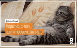 «Одноклассники» провели лето в добрый путь