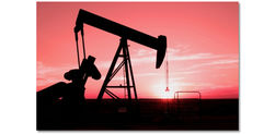 В ОПЕК считают, что Россия сократит добычу нефти в этом году 