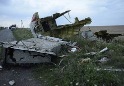 Сбившие малайзийский Боинг боевики до сих пор находятся в ДНР и ЛНР – следователь