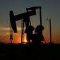 Почему цены на нефть слабо реагируют на конфликт Саудовской Аравии и Ирана
