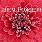 8 декабря – день рождения Алисы Фрейндлих, Ким Бейсингер и Евгения Стеблова
