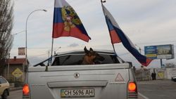 Будни Крыма: Замена шоферских прав, автономеров, SIM-карт, кодов телефонов