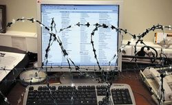 В России ужесточают приговоры за высказывания в Сети – Сова
