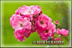 2 января – день рождения Олега Дерипаски, Сергея Жигунова и Тиа Каррере