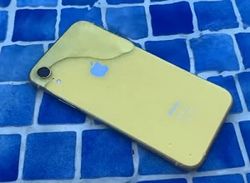 Объявлен старт продаж и цена iPhone Xr в Украине