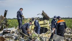 С места крушения Боинга в Донбассе вывезли еще 2 тонны обломков