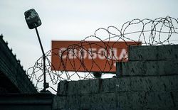 После гуманизации российского правосудия число заключенных выросло