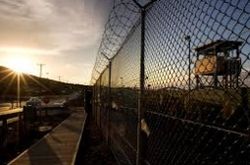 Устроив бунт, из колонии под Киевом сбежали зеки – СМИ
