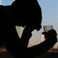 Грушевый сок ученые назвали эффективным средством от похмелья