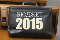 Бюджет-2015 не предусмотрел критичность экономики Украины – эксперт
