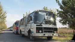 В столице Узбекистана колонна автобусов сбила пешехода 