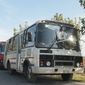В столице Узбекистана колонна автобусов сбила пешехода 