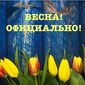 В Одноклассники подводят итоги зимы
