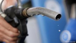 Европа вводит лимиты на использование биотоплива в автомобилях