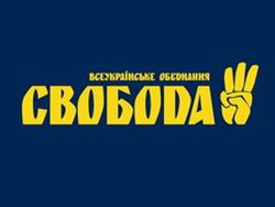 Уроки PR в Украине: ВО Свобода во Львове нарушает то, против чего борются в Киеве 